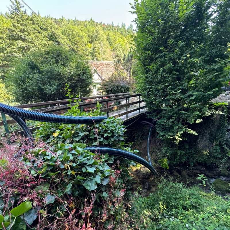 Pizzamore Rimbach Guebwiller 27