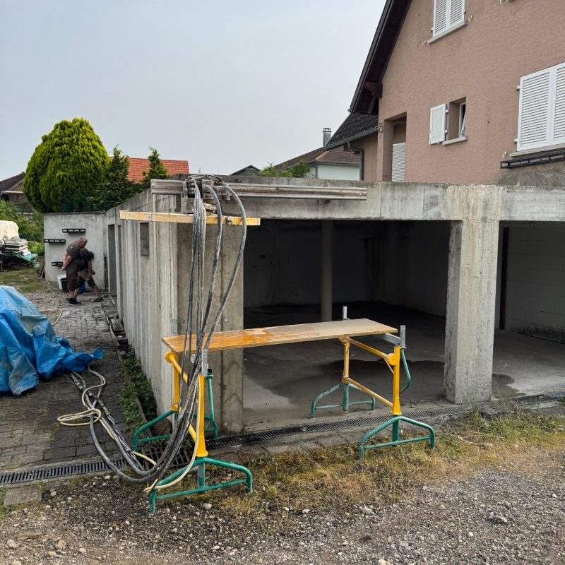 Sciage / d&eacute;molition Riedisheim 7